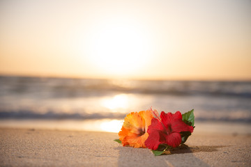 夕日のビーチとハイビスカス