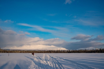 Winter ski trip in the mountains of the circumpolar Urals