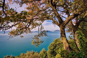 Obraz na płótnie Canvas Panoramic view from the path between Montemarcello and Tellaro towards the Gulf of La Spezia Liguria Italy