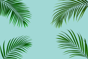 Fototapeta na wymiar top view of tropical palm leaf on blue color background. minimal summer concept. flat lay