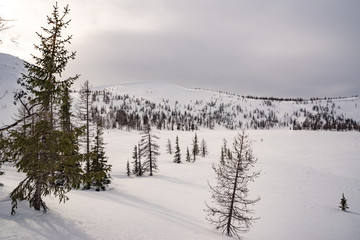 Winter ski trip in the mountains of the circumpolar Urals