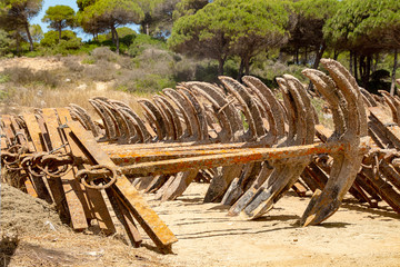 View of a cemetery of anchors placed near Conil de la Frontera, Spain