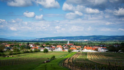 Fototapeta na wymiar Village of Oslip and landscape in Burgenland Austria