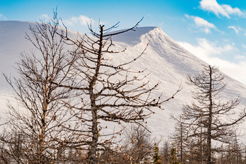 Winter ski trip in the mountains of the circumpolar Urals