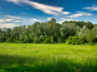 Paysage rural