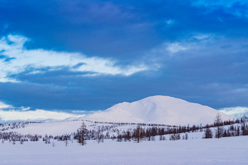 Fototapeta premium Winter ski trip in the mountains of the circumpolar Urals