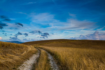 road through the field