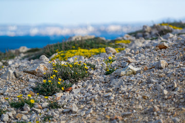 Relief escarpé de la côte méditerranéenne aux alentours de Marseille en France