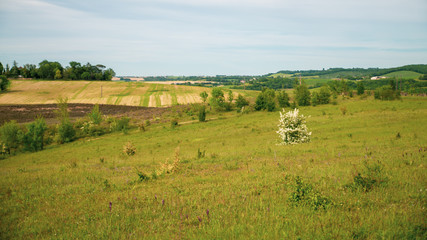 Fototapeta premium Green landscape of hills and fields in spring