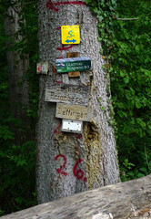 Wanderwege Hinweistafel im Schwarzwald bei Glatt
