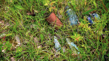 
Litter abandoned in the wild