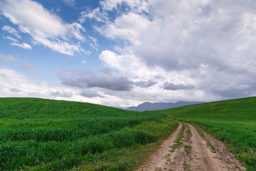 Fototapeta na wymiar Beautiful spring and summer landscape. Mountain country road among green hills. Lush green hills, high mountains. Spring flowering grass.