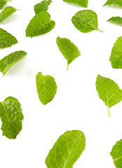 fresh mint leafs isoalted on white background