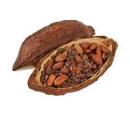 cocoa beans isolated  on white background
