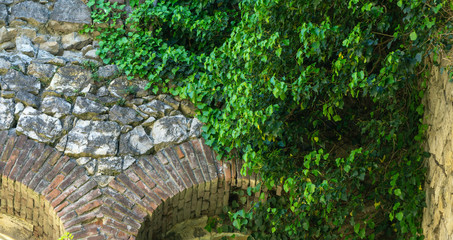 The remains of old building, overgrown with ivy, shrubs and trees. Georgia country. Kutaisi city