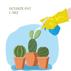 Caring for home plants: a rubber-gloved hand sprays cacti with bottle water. Vector