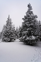 winter hike in the mountains of the southern Urals. Taganay National Park