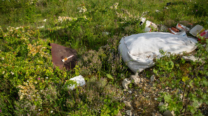 
Outdoor landfill of waste, in full vegetation