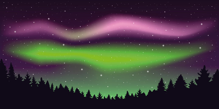 aurora borealis beautiful polar lights in stary sky in forest vector illustration EPS10