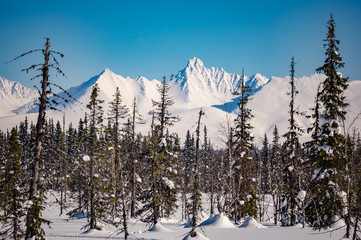 winter ski trip in the mountains of the circumpolar Urals. Ural winter mountains