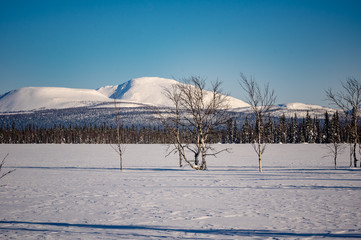 winter ski trip in the mountains of the circumpolar Urals. Ural winter mountains