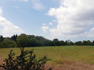 bucolica e rilassante vista della campagna romana