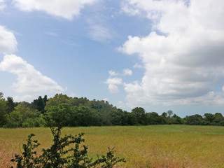 Fototapeta premium bucolica e rilassante vista della campagna romana