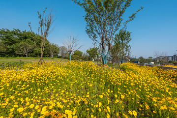 Fototapeta premium road in park