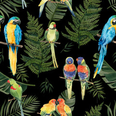 Pattern with beautiful watercolor parrots and tropical leaves. Tropics. Realistic tropical leaves. Tropical birds. - 348598811