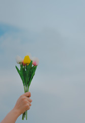 A woman's hand holding a bouquet of pink, white, and yellow tulips held in the sky. The background is bright pastel skies and beautiful white clouds. Feel fresh and happy. There is a copy area space.