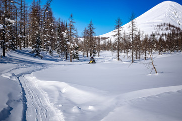 Obraz na płótnie Canvas winter ski trip in the mountains of the circumpolar Urals. Ural winter mountains