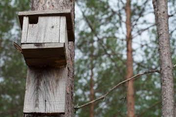 Birdhouse hanging on a tree. Human care for birds.