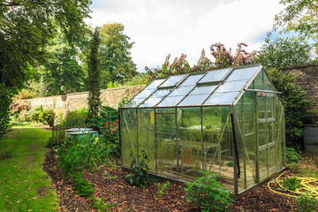 Garden with greenhouse