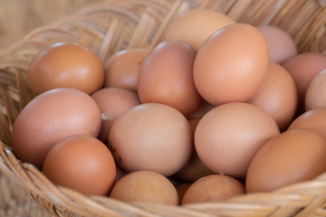 New chicken eggs collected from hens