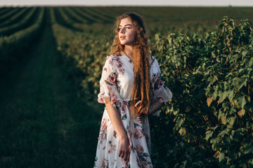 beautiful woman with long curly hair and freckles face on currant field background. Girl in a light dress walks in the summer sunny day