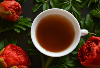 White cup of tea with red peonies on a black background. Luxurious bright composition. Hot drink. Bohemian style. Still life. Top view