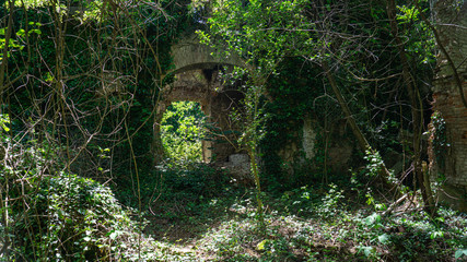 The remains of old building, overgrown with ivy, shrubs and trees. Georgia country. Kutaisi city