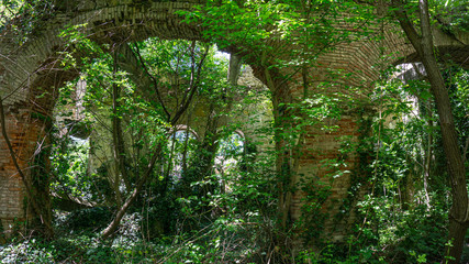 The remains of old building, overgrown with ivy, shrubs and trees. Georgia country. Kutaisi city