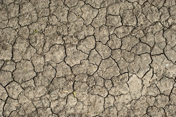 Dry land with cracks and dust. Soil texture close up.