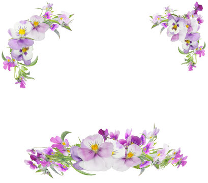 Pansy Light Purple Flowers Frame Isolated On White