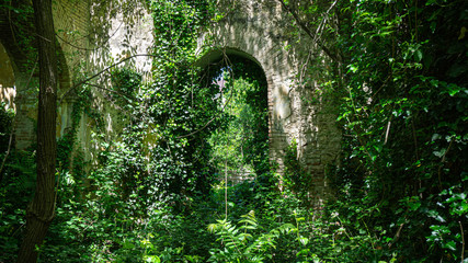 The remains of old building, overgrown with ivy, shrubs and trees. Georgia country. Kutaisi city