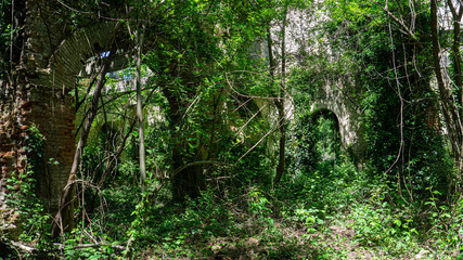 The remains of old building, overgrown with ivy, shrubs and trees. Georgia country. Kutaisi city