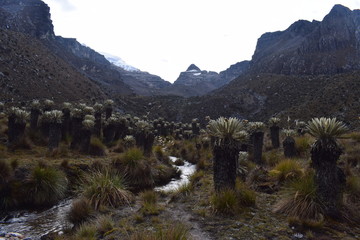  national park cocuy