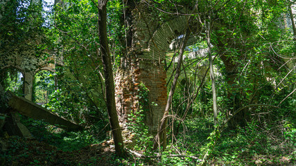 The remains of old building, overgrown with ivy, shrubs and trees. Georgia country. Kutaisi city