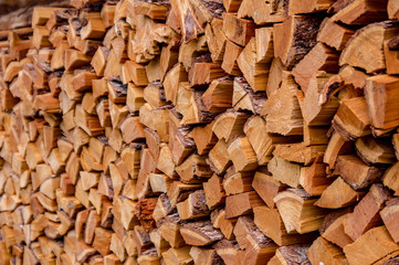 Background image of the bark of a coniferous tree