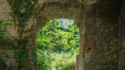 The remains of old building, overgrown with ivy, shrubs and trees. Georgia country. Kutaisi city
