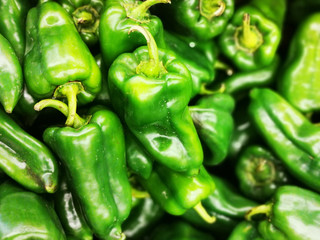 Green pepper in a harvest background. close up shot