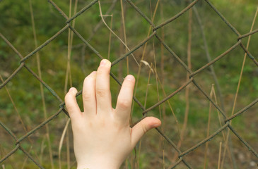 Fototapeta na wymiar A child's hand on the grating that closes the passage to nature