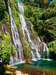 Fototapety  Kaskadowy wodospad w tropikalnej dżungli na Bali, Indonezja