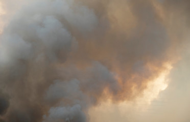 smoke pattern background of fire burn in grass fields